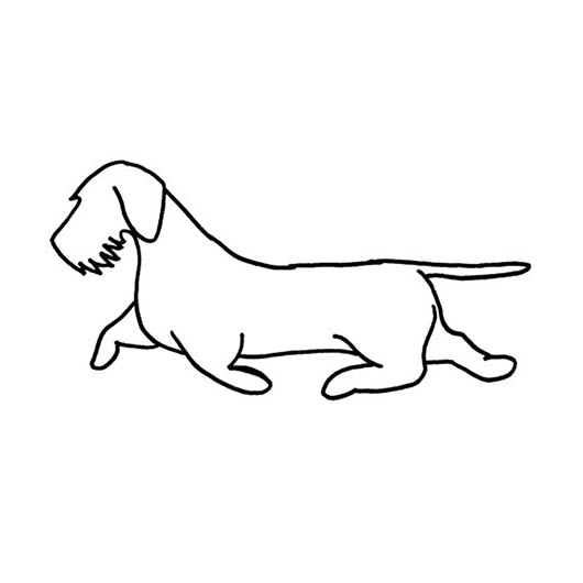 Wire Haired Doxie Wall Art