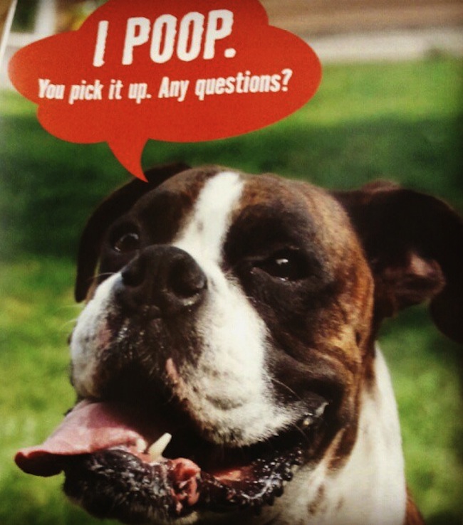 dog-poop