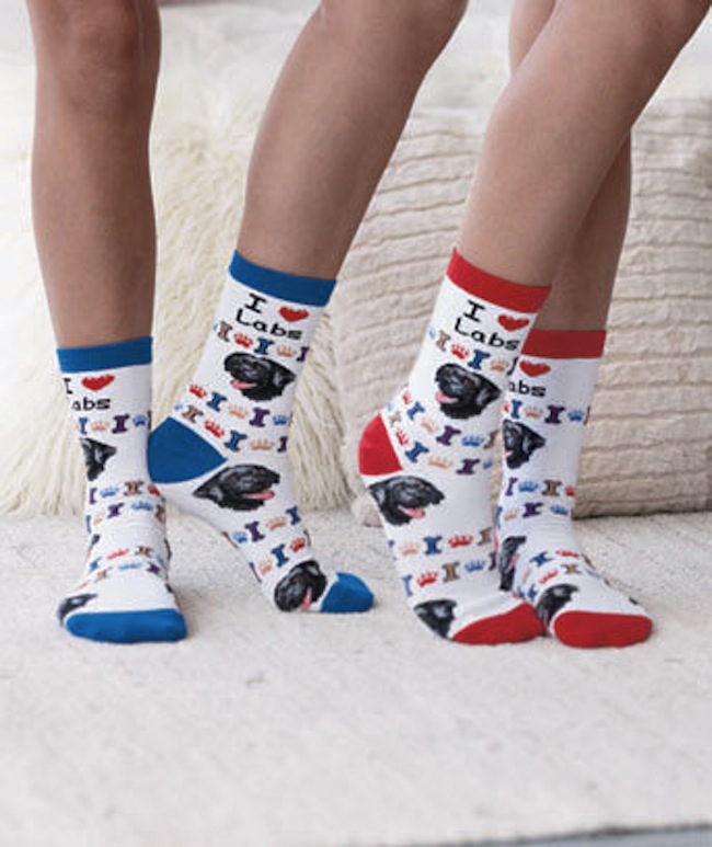 dog-socks