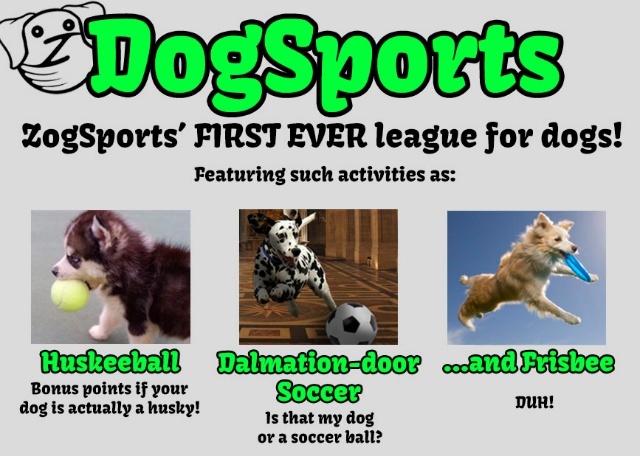 dogsports4
