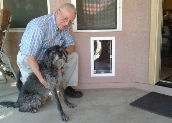 elderly man with senior dog
