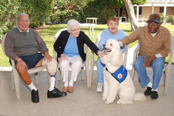 elderly people with dog