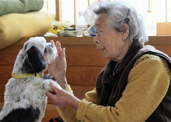 elderly woman japanese dog