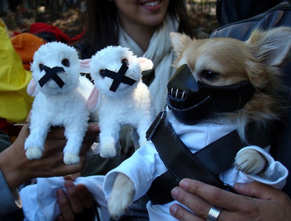 hannibal-lecter-dog-halloween-costume