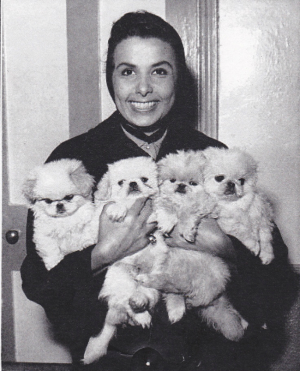 lena horne with puppies