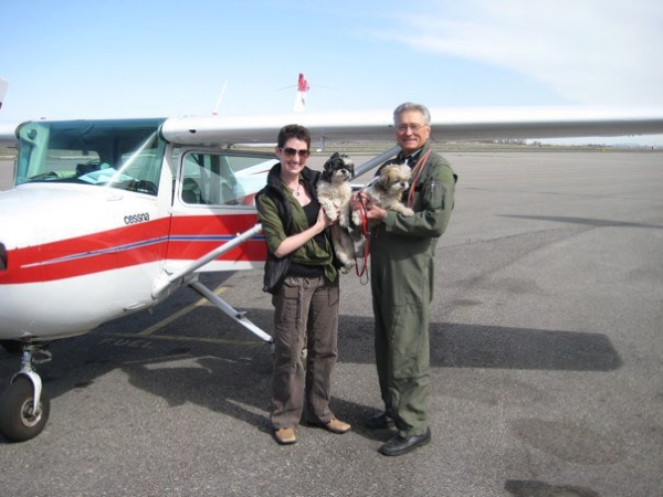 PNP Pilots Louise and Jerry rescued two Shih-tzus from a shelter in Montana by relocating the
