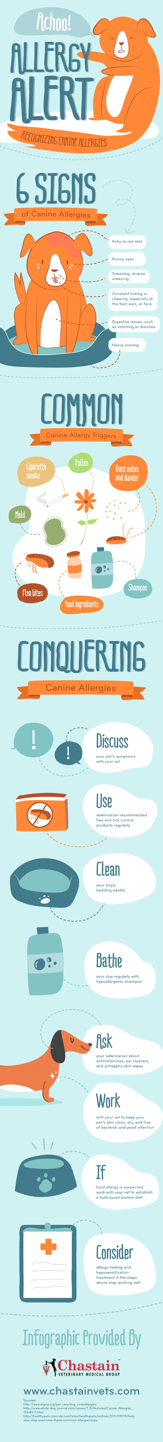 recognizing canine allergies