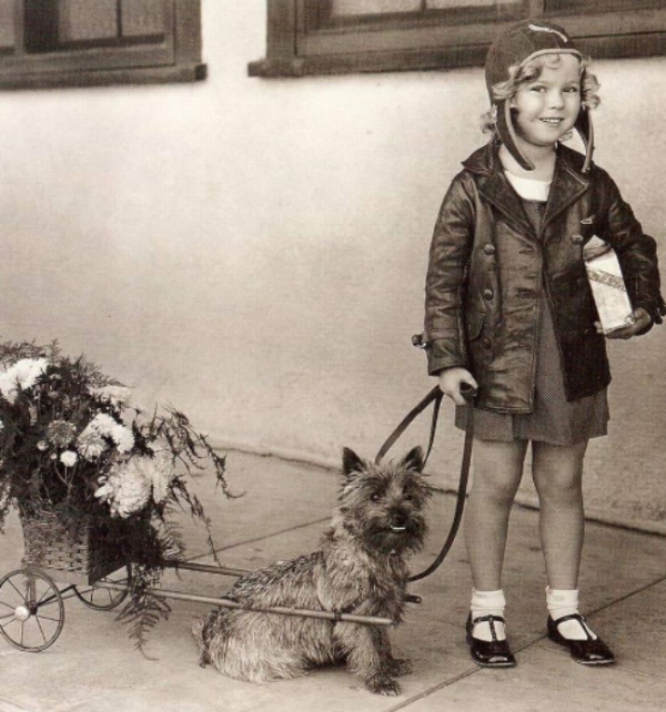 shirley temple with dog