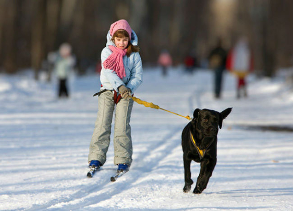 ski