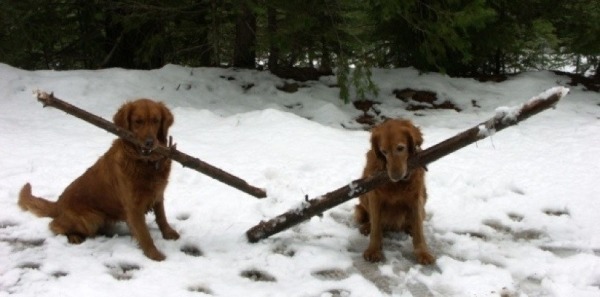 stick-competition