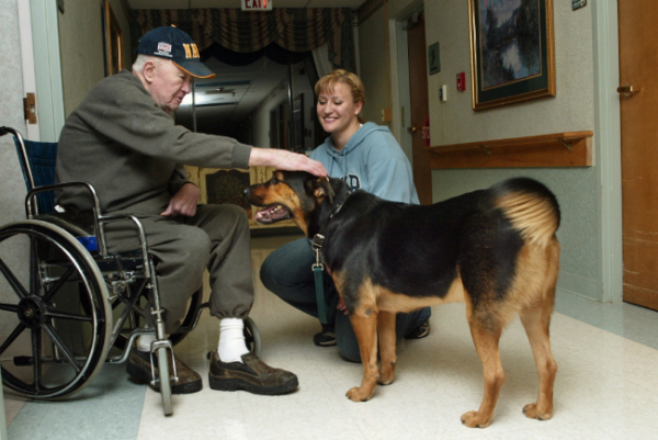 volunteer nursing home dog