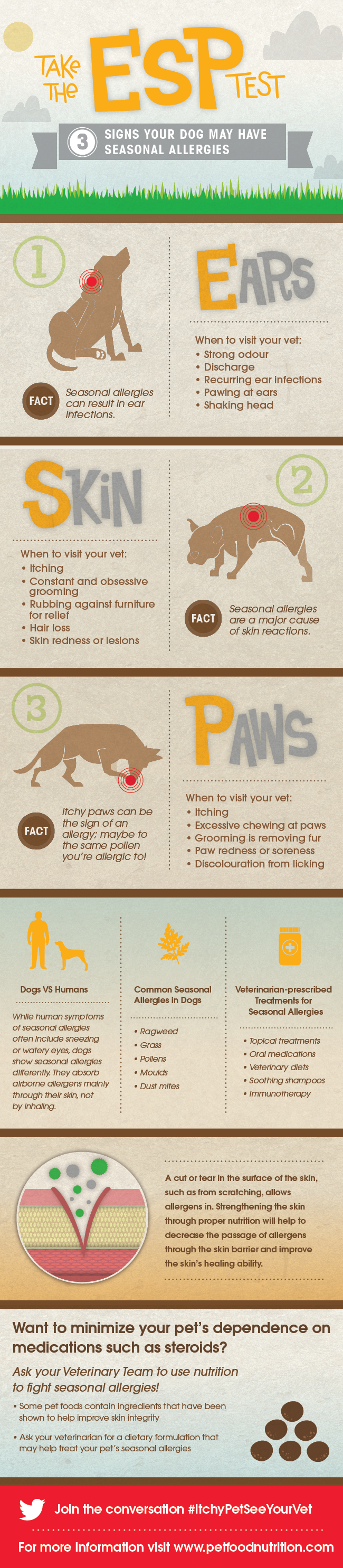 when to take your dog to the vet for allergies