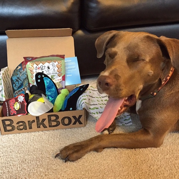 may-2015-barkbox-garden