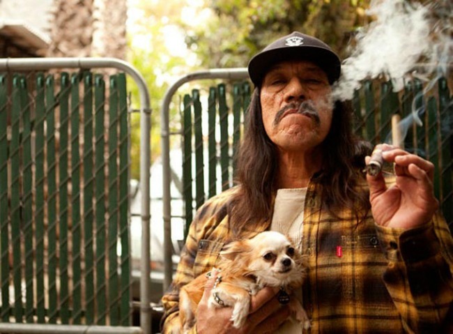 Danny trejo chihuahua tough guy tattoos cigar dog