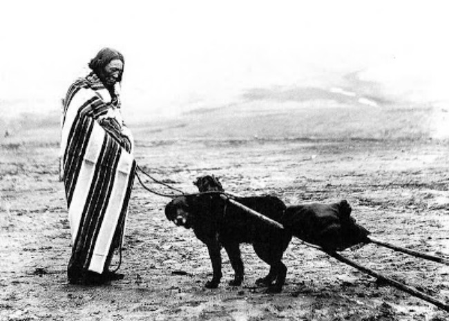 Lakota-Woman-And-Dog-Travois-Rosebud-Reservation-800x571