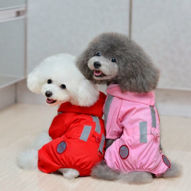 New-2013-Supernova-Sale-Lovely-Puppy-Pet-Dog-Rain-Coat-Jacket-Dog-Clothes-Apparel-Cloth-Dog