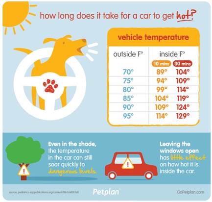 Pet plan car infographic!