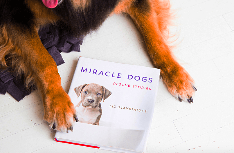 miracle dogs book