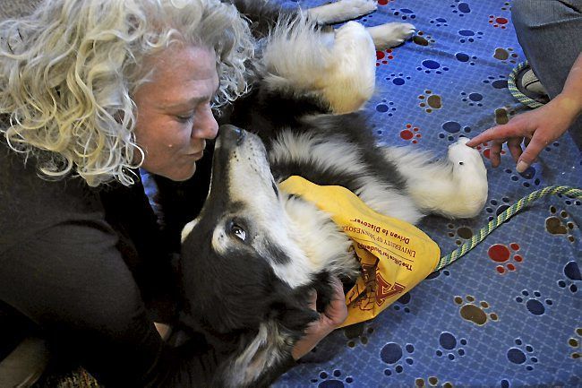 University of Minnesota Therapy Pets