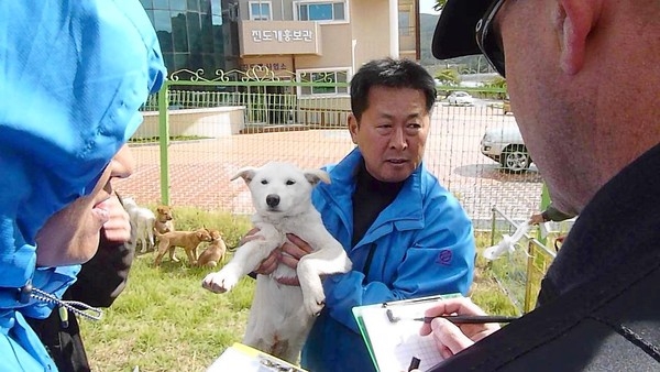 [20101107 (LA/A8) -- ON JINDO ISLAND: A Korean trainer shows off a Jindo as Los Angeles Police Officer Jeff Miller takes notes. Breeders paid for two officers to travel to South Korea and choose pups to bring home and train. -- PHOTOGRAPHER: John M. Glionna Los Angeles Times] *** [A Korean dog trainer shows off a Jindo dog as Los Angeles Police Department canine officer Jeff Miller (right) takes notes. (John M. Glionna/Los Angeles Times)]