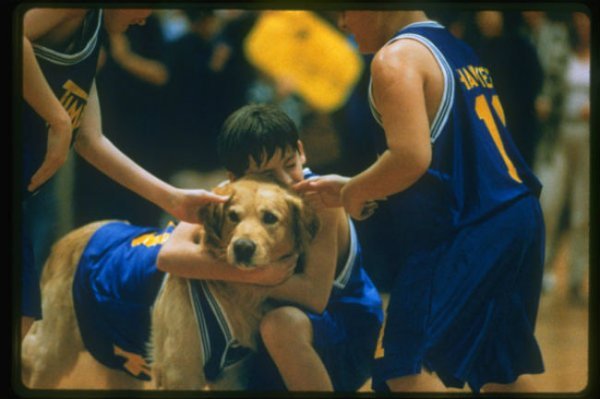 air bud image updated