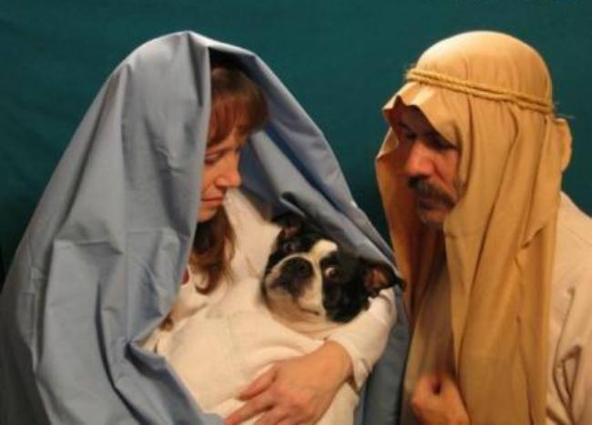 awkward-pet-photos-baby-jesus-dog