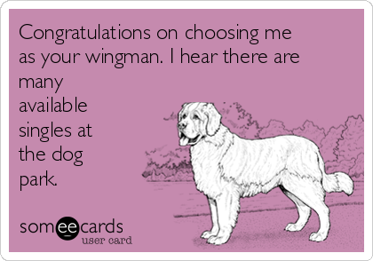 dog wingman ecard