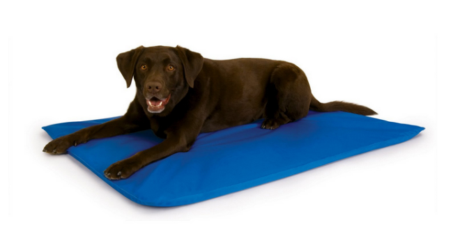 cooling-dog-bed