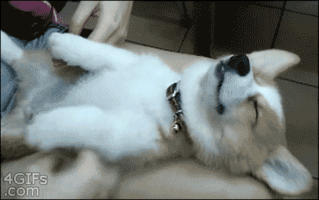 disturbing a sleeping dog