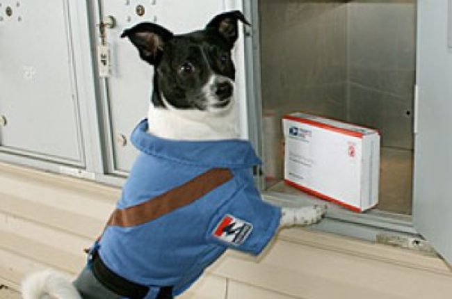 dog mailman