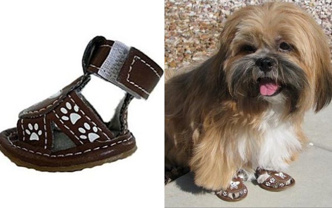 dog sandals 1
