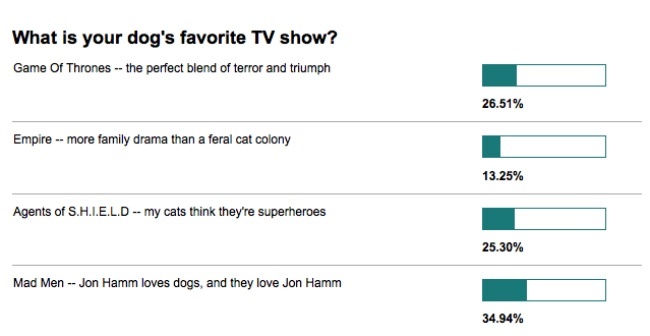 dog show poll