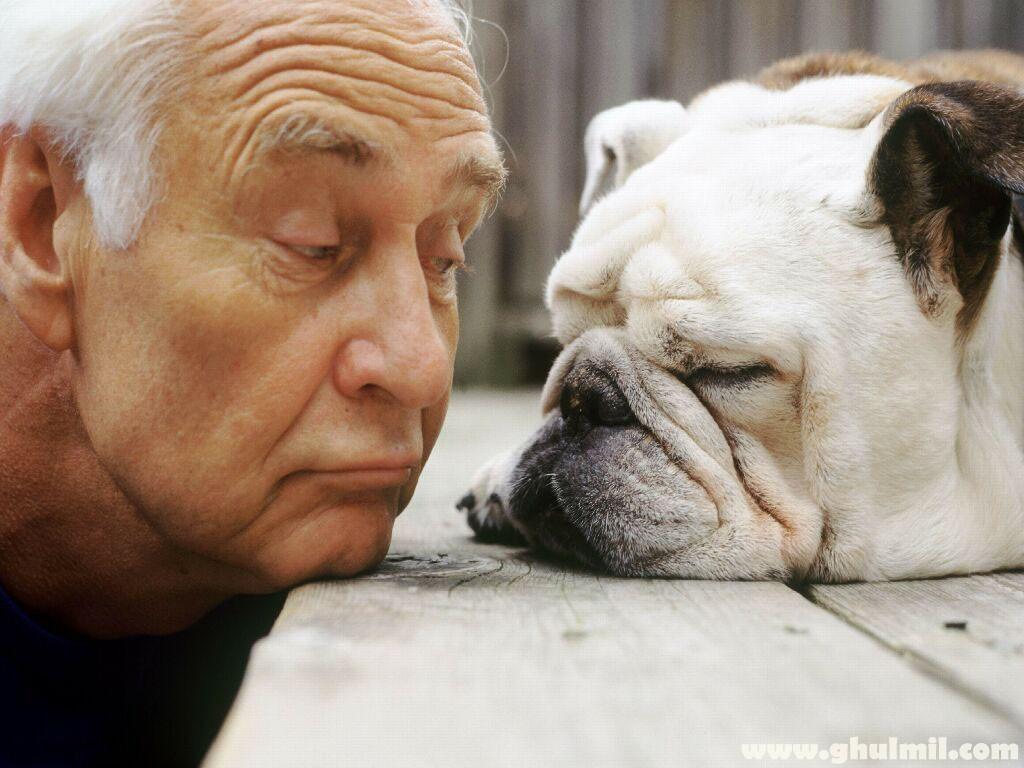 old-dog-with-a-old-man