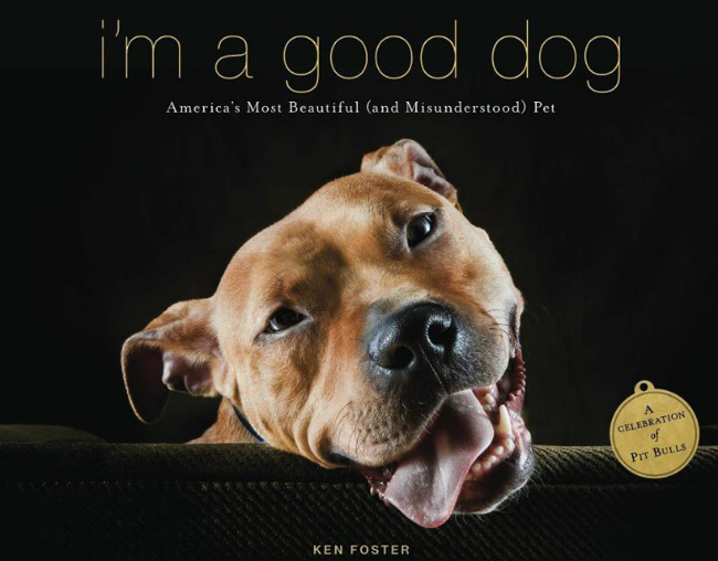 pitbull book im a good dog