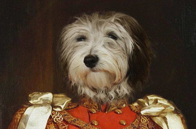 regal beagle pet portriat