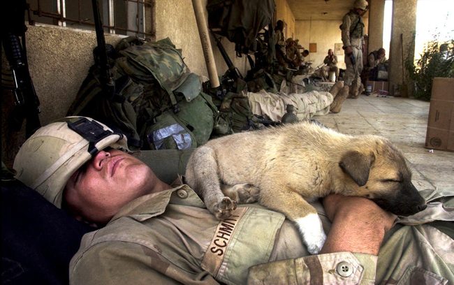 soldier and puppy sleeping