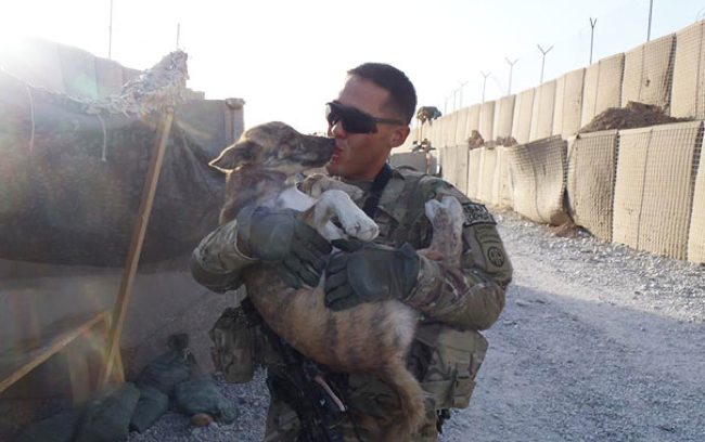 soldier-with-rescue-dog