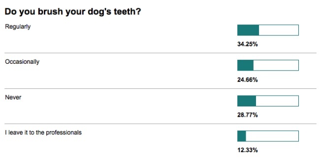 teeth poll
