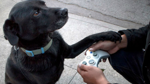 video game dog