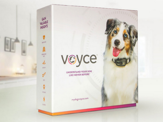 voyce-dog-collar-health-monitor