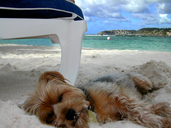 Beach Nap