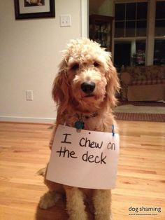 chew on deck