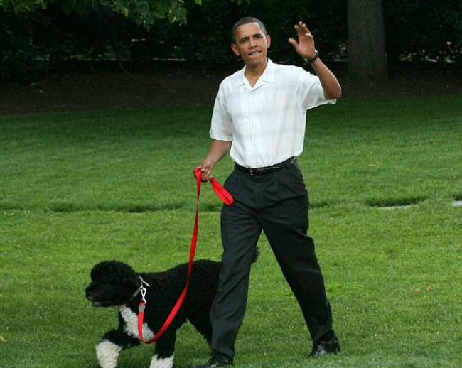Barack-Obama-dog-Bo-2010-4