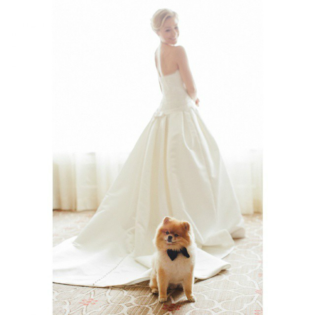 Bride + Pup