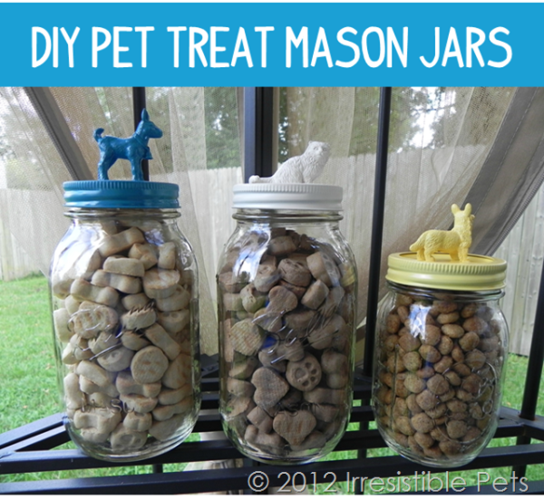 DIY-Pet-Treat-Mason-Jars