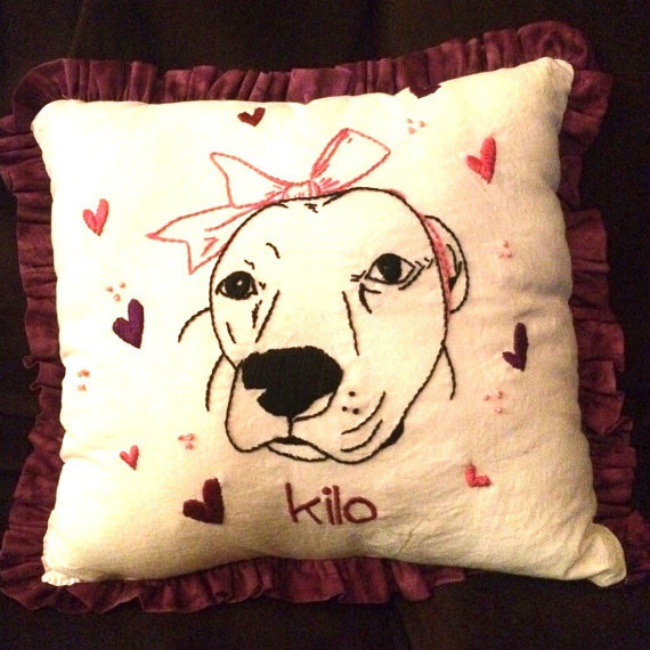 Hand Embroidered Pet Pillow