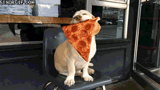 Pizza pup
