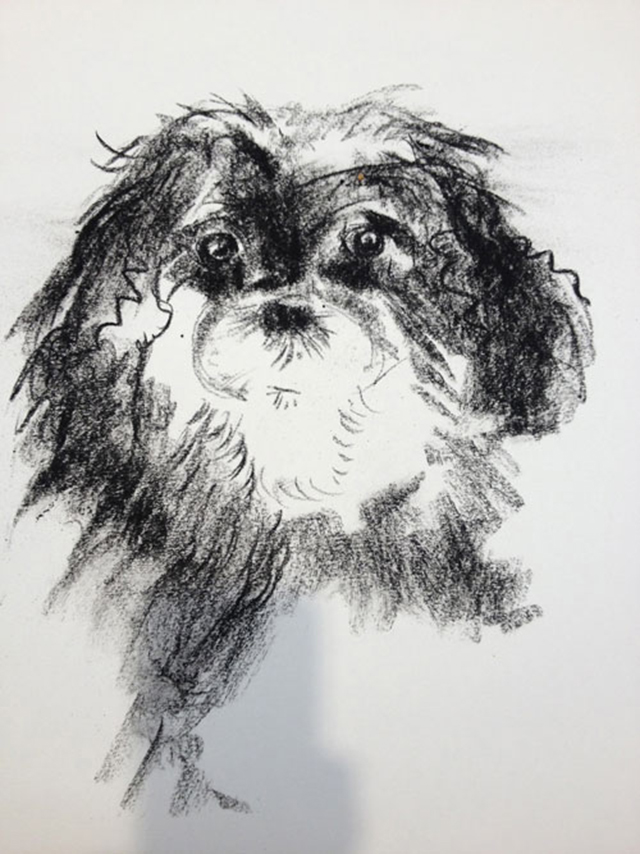 Sally Muir Dog Art