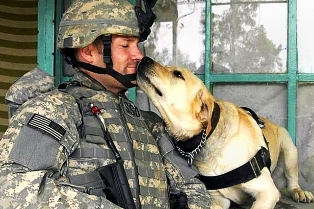 Soldier-nose-to-nose