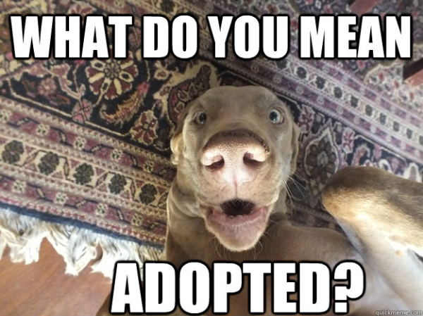 adopted2